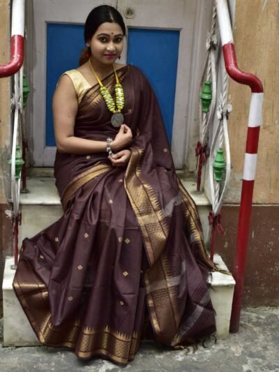 Elegant Semi-Torso Saree